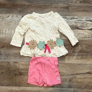 Long sleeve tee and shorts set sz 2T
